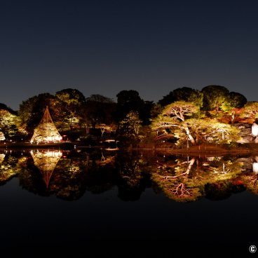 Autumn Illuminations in Rikugi-en (Tokyo), Reflection of Naka-no-shima island on the pond