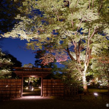Autumn Illuminations in Rikugi-en (Tokyo), Inner gate in the garden's grounds