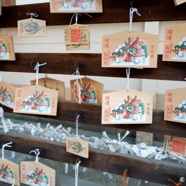 Asakusa Otori-jinja (Tokyo), Ema votive plates illustrated with a dragon for the year 2024