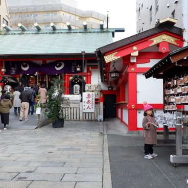Asakusa Otori-jinja (Tokyo), Shrine's grounds during Hatsumode in early January
