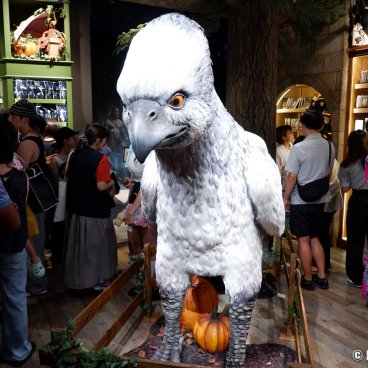 Harry Potter Shop Harajuku (Tokyo), Statue of Buckbeak the hippogriff