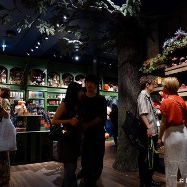 Harry Potter Shop Harajuku (Tokyo), Forbidden Forest themed shop 2
