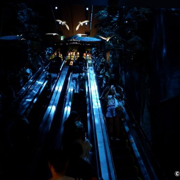 Harry Potter Shop Harajuku (Tokyo), Escalator at the official shop