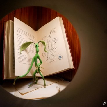 Harry Potter Shop Harajuku (Tokyo), Exhibition on the universe of Harry Potter