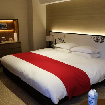 Shiba Park Hotel (Tokyo), Deluxe King room