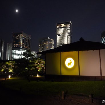 Hamarikyu Tsukimi Sanpo (Tokyo), Golden moon rabbit light-up on Tsubame no Chaya tea house