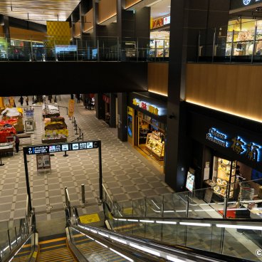 Haneda Airport Garden (Tokyo), View on the atrium from the shopping area 2