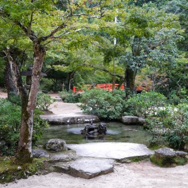 Iwaso (Miyajima), Pond of the small Japanese garden at the entrance of the ryokan