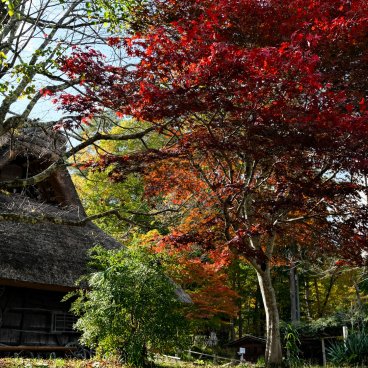 Hida no Sato (Takayama), View on the traditional village in autumn
