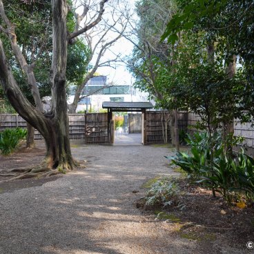 Komaba Park Maeda Residence 12