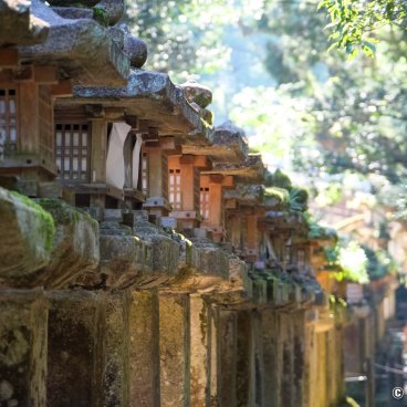 Nara, Stone lanterns at Kasuga Taisha shrine