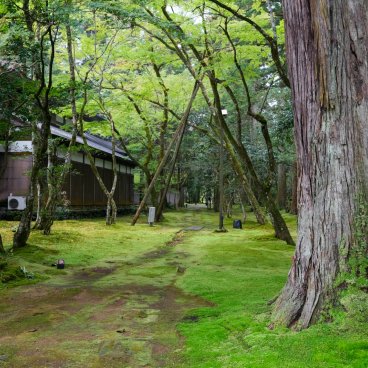 Nata-dera (Ishikawa), View on the temple's garden