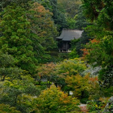 Nata-dera (Ishikawa), View on the temple's grounds in the beginning of autumn