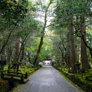Nata-dera (Ishikawa), Paved walkway lined with cedar trees