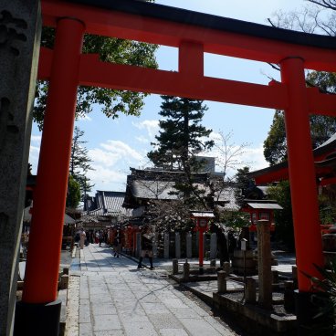 Yasui Konpiragu (Kyoto), Torii gate at the entrance of the shrine