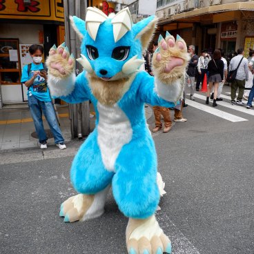 Nipponbashi Street Festa (Osaka), Furry cosplay