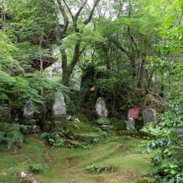 Chikurinji Kochi 04