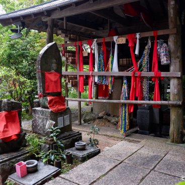 Chikurinji Kochi 11