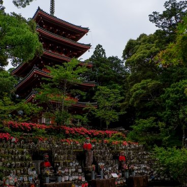 Chikurinji Kochi 12