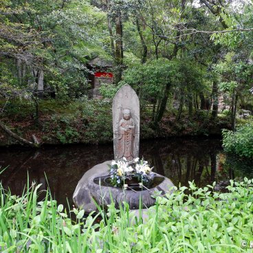 Chikurinji Kochi 13