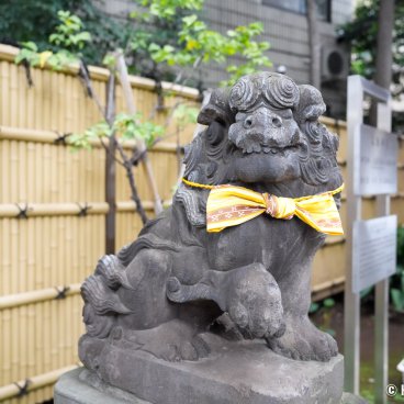Koenji Hikawa-jinja (Tokyo), Komainu dog statue