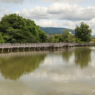 Nagaokakyo (Kyoto), View on Hachijogaoka pond at Nagaoka Tenmangu shrine