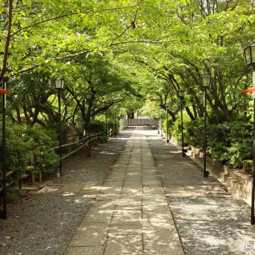 Nagaokakyo (Kyoto), Pathway at Nagaoka Tenmangu shrine 2