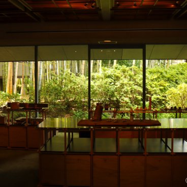 Nagaokakyo (Kyoto), View on the bamboo grove of the Shop & Gallery Chikubuen
