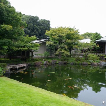 Akasaka Palace (Tokyo), Carp pond in the Japanese garden