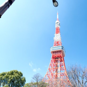 Shiba Park (Tokyo), Daytime view on the Tokyo Tower