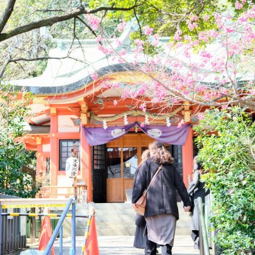 Shiba Park (Tokyo), Shiba Toshogu shrine