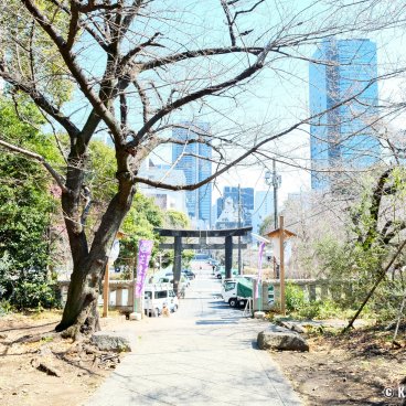 Shiba Park (Tokyo), Shiba Toshogu shrine 2