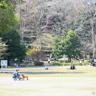 Shiba Park (Tokyo), Lawns at the end of winter with Shiba Maruyama Kofun in the background