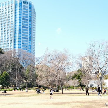 Shiba Park (Tokyo), Lawns at the end of winter with The Prince Park Tower Tokyo Hotel