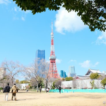 Shiba Park (Tokyo), Panoramic view on the lawns with a view on the Tokyo Tower and Zojo-ji temple 2