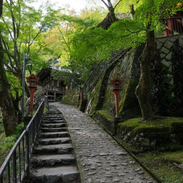 Arashiyama (Kyoto), Stone stairway uner the green maple trees