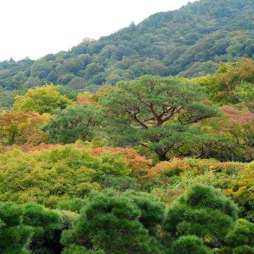 Arashiyama (Kyoto), View on the mountains from Okochi Sanso Villa