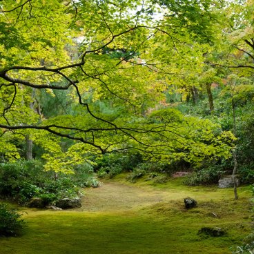 Arashiyama (Kyoto), View on the garden of Okochi Sanso Villa