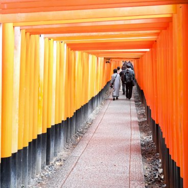 Fushimi Inari Taisha (Kyoto), The torii gate tunnel in winter