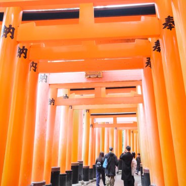 Fushimi Inari Taisha (Kyoto), Torii gate tunnel covering a flat pathway