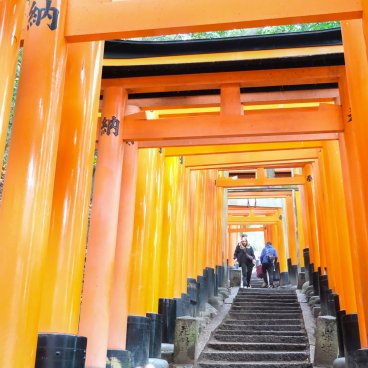 Fushimi Inari Taisha (Kyoto), Torii gate tunnel covering a stairway to the top of Mount Inari