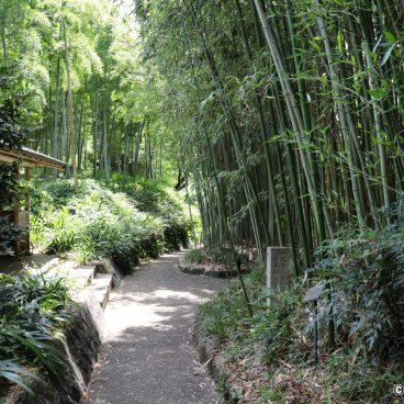 Take no Michi (Muko), Pavillon on the side of the road with a view on the bamboo grove