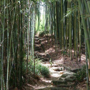Take no Michi (Muko), Stone stairway in the bamboo forest