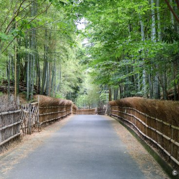 Take no Michi (Muko), Road crossing the bamboo grove and its fences