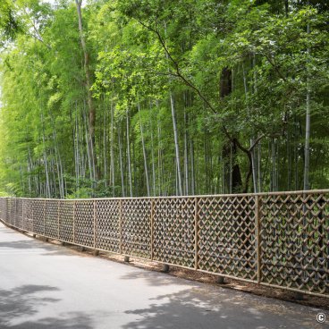 Take no Michi (Muko), Cross-brace design traditional fence protecting the bamboo grove