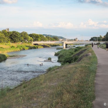 Summer Heat in Japan, People swimming in the Kamo-gawa river in Kyoto