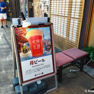 Summer Heat in Japan, Poster for a refreshing drink in Tokyo