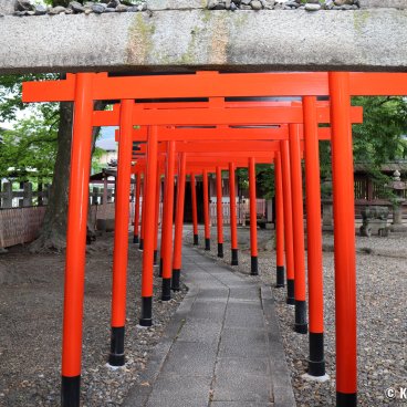 Toyokuni-jinja (Kyoto), Torii gate tunnel in the shrine's grounds