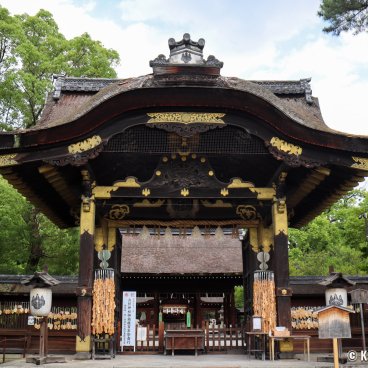 Toyokuni-jinja (Kyoto), Great Karamon gate before the shrine's main pavilion