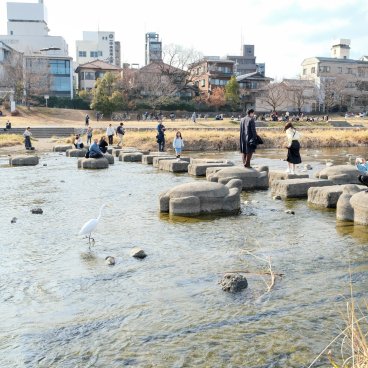 Demachiyanagi Delta (Kyoto), View on the stepping stones path across the river at the end of winter 3